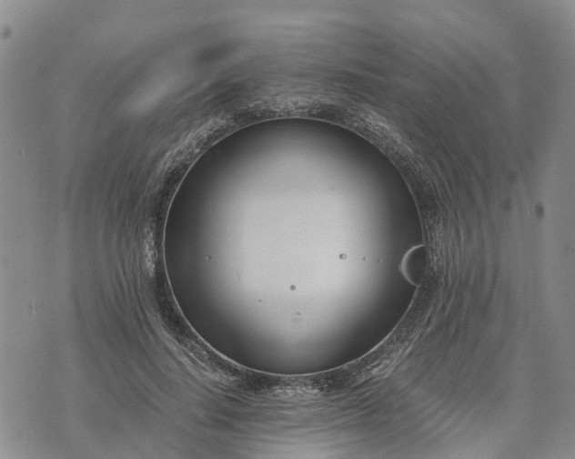 X0000073450644200608111351