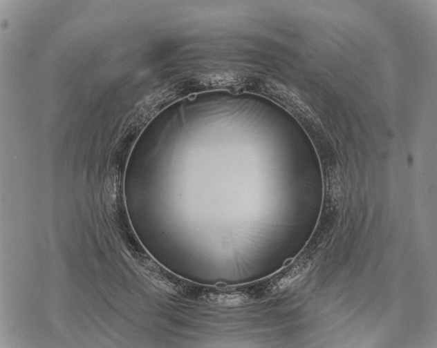 X0000073450645200608111351