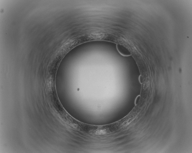 X0000073450647200608111351