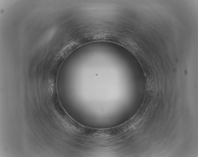 X0000073450648200608111351