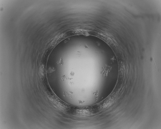 X0000073450649200608111351