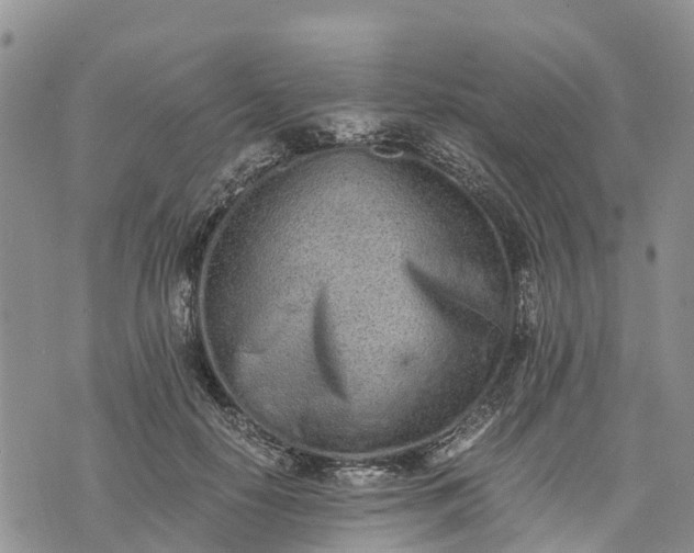 X0000073450650200608111351