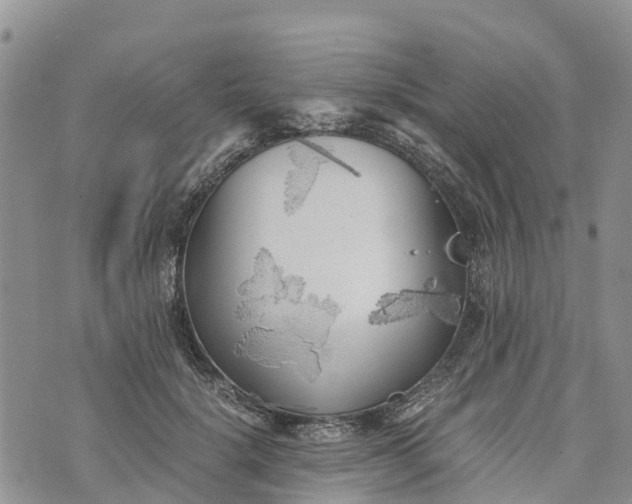 X0000073450652200608111351