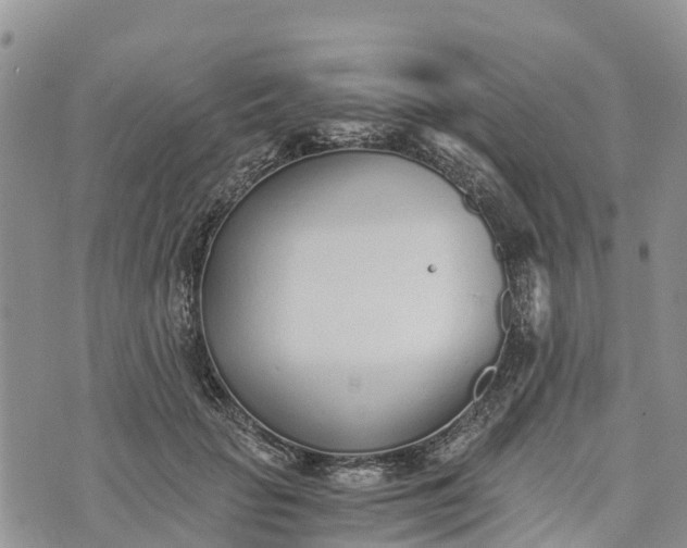 X0000073450653200608111351