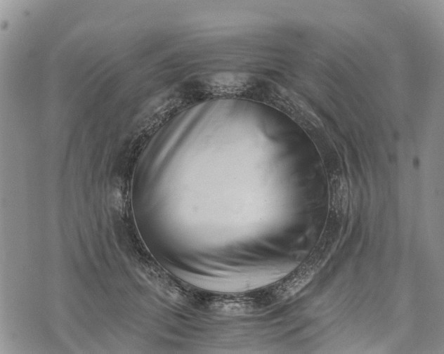 X0000073450655200608111351