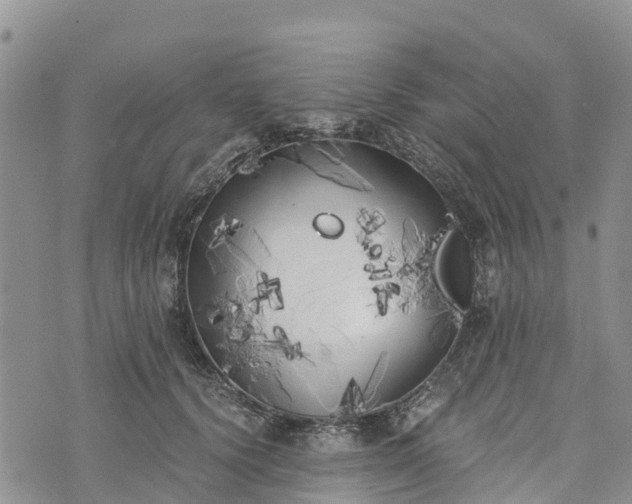 X0000073450656200608111351