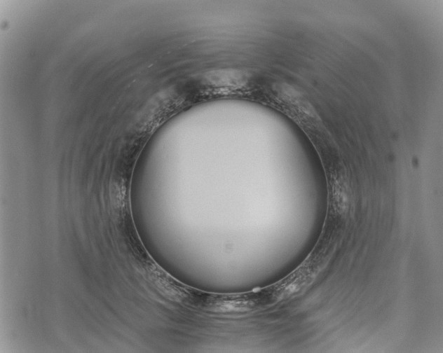 X0000073450657200608111351