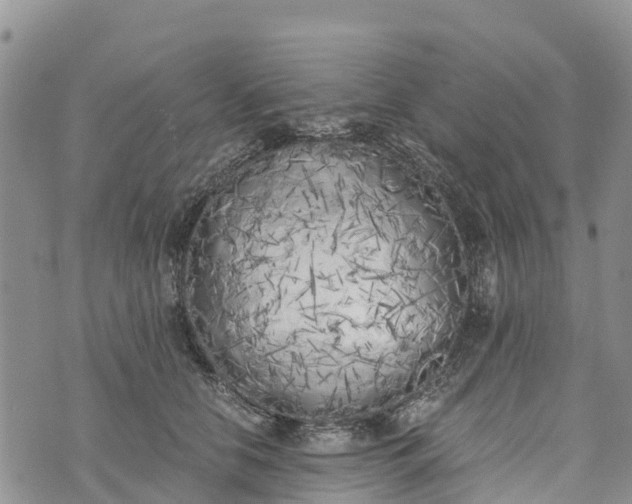 X0000073450658200608111351