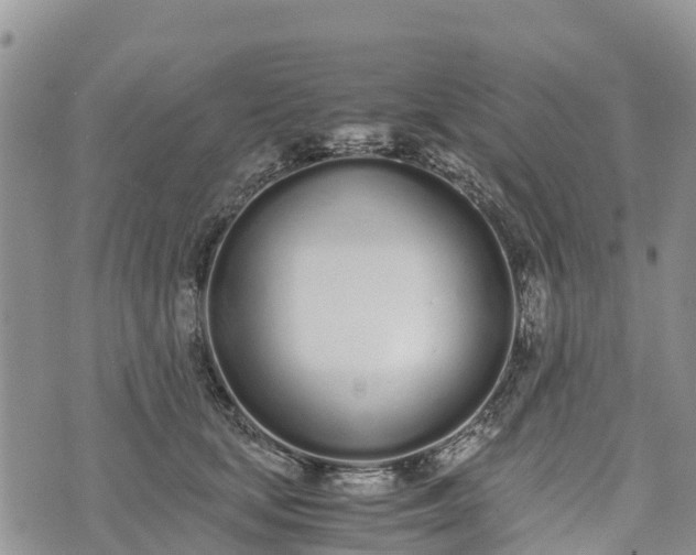 X0000073450659200608111351