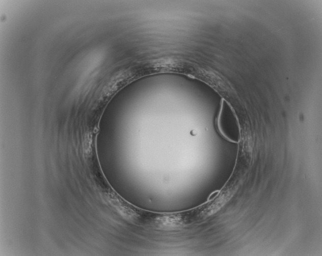 X0000073450660200608111351