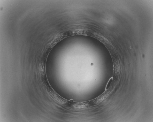 X0000073450661200608111351