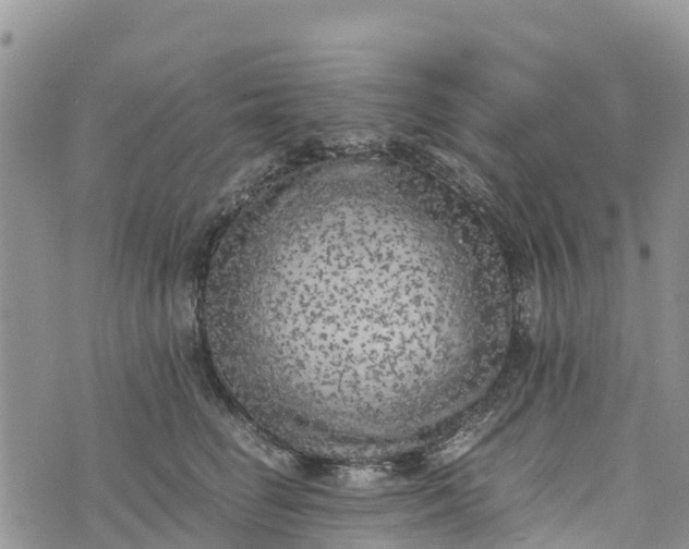 X0000073450662200608111351