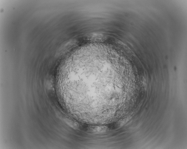 X0000073450663200608111351