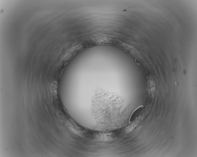 X0000073450664200608111351