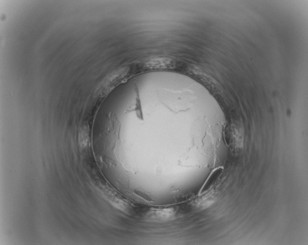 X0000073450665200608111351