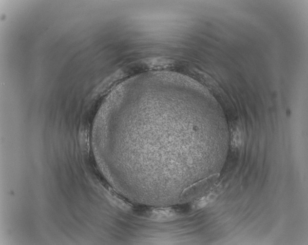 X0000073450666200608111351