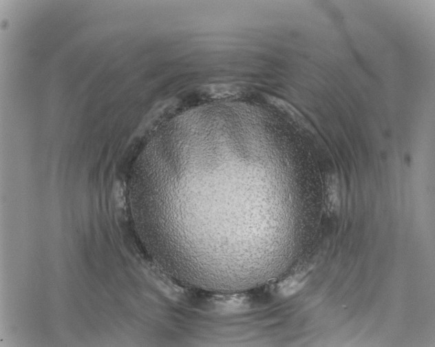 X0000073450667200608111351