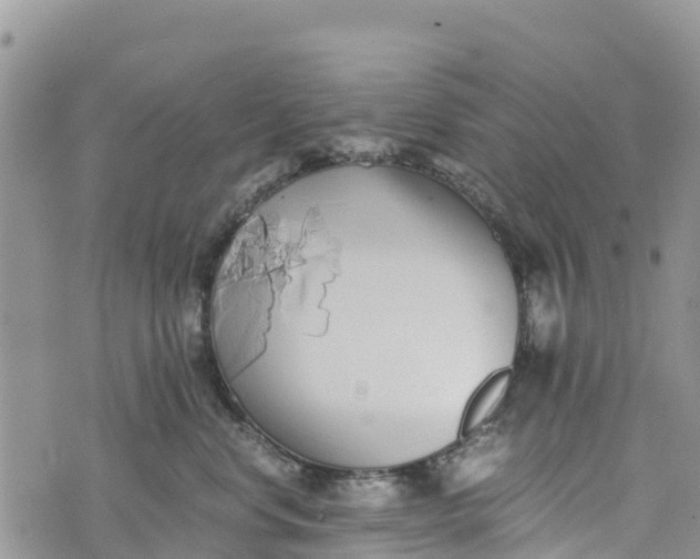 X0000073450668200608111351