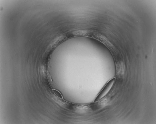 X0000073450669200608111351