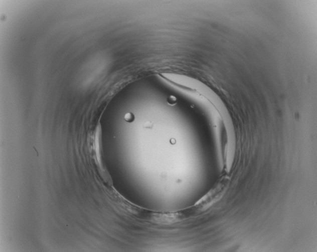 X0000073450671200608111352