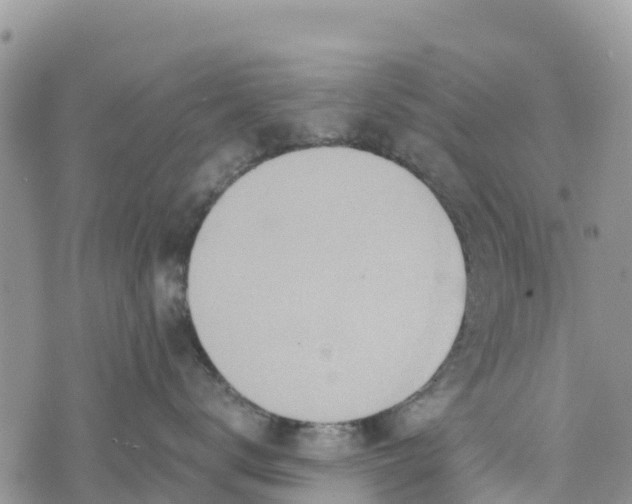 X0000073450672200608111352