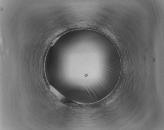 X0000073450673200608111351