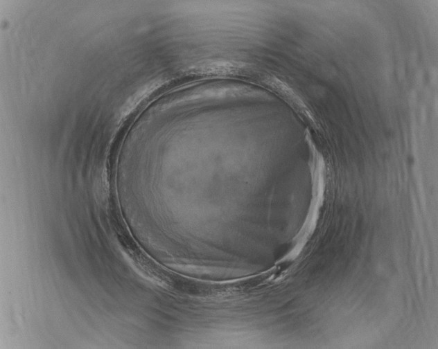 X0000073450674200608111351