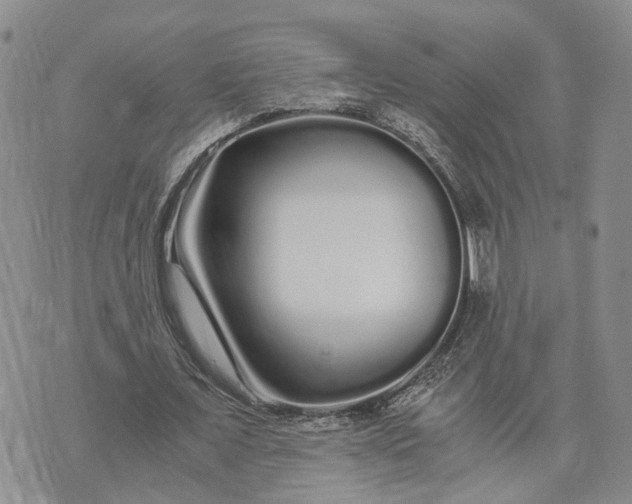 X0000073450675200608111351