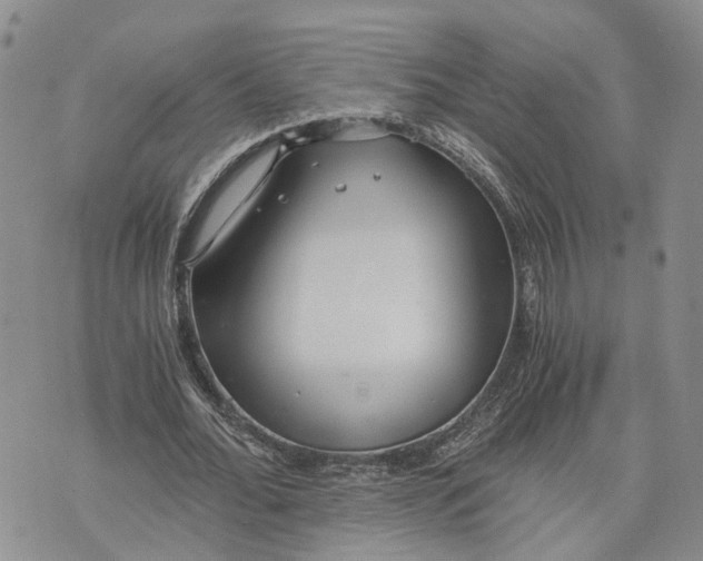 X0000073450676200608111351