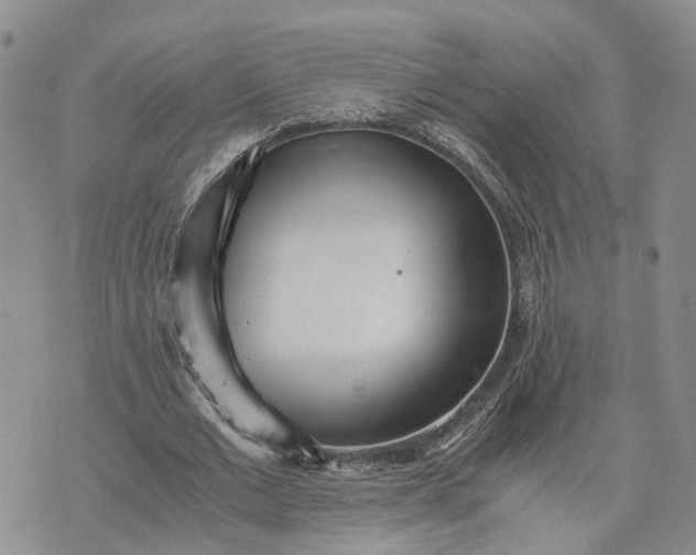 X0000073450677200608111351