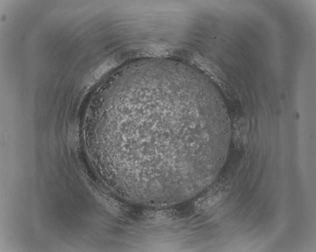 X0000073450679200608111351