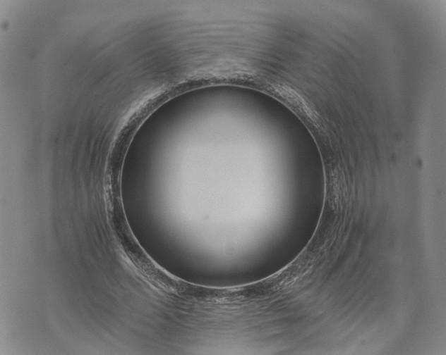 X0000073450680200608111351