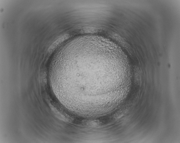 X0000073450683200608111351