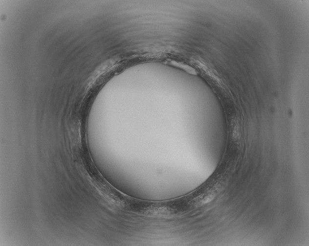 X0000073450685200608111351