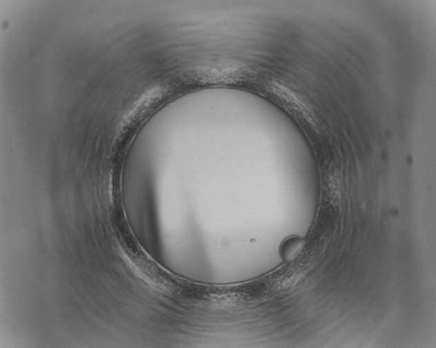 X0000073450686200608111351