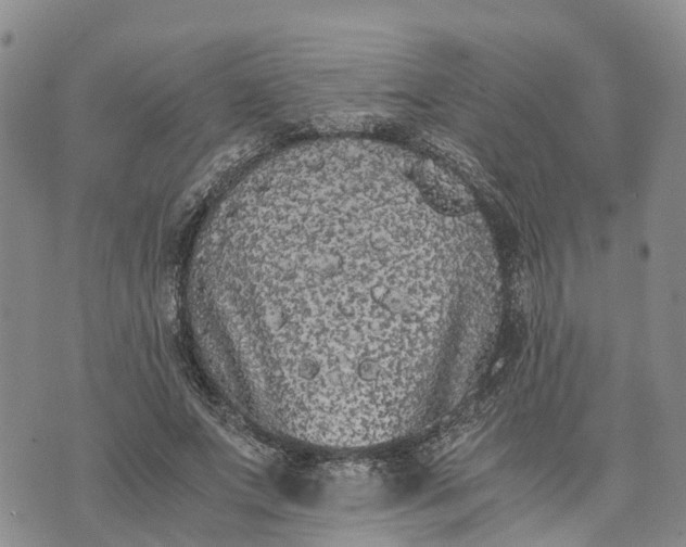 X0000073450687200608111351