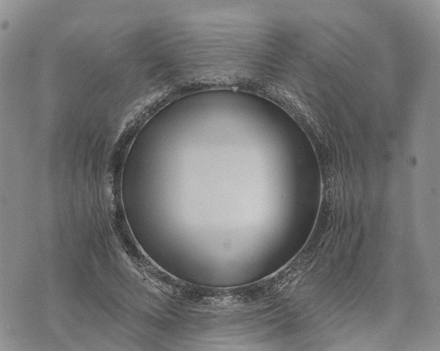 X0000073450688200608111350