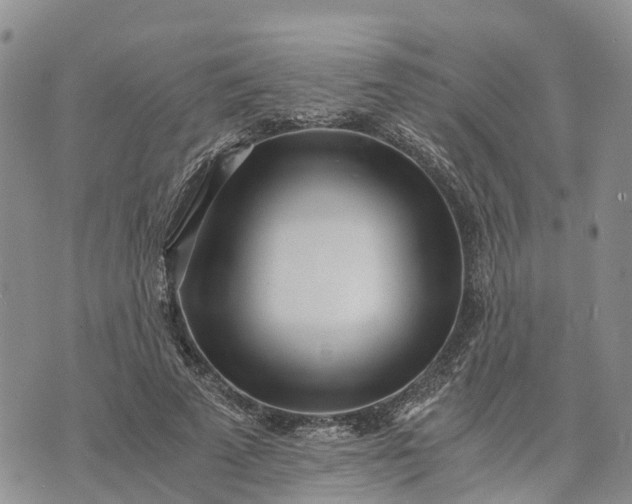 X0000073450689200608111350