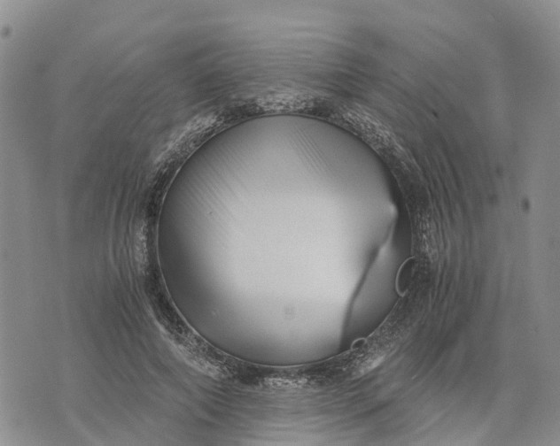 X0000073450690200608111350