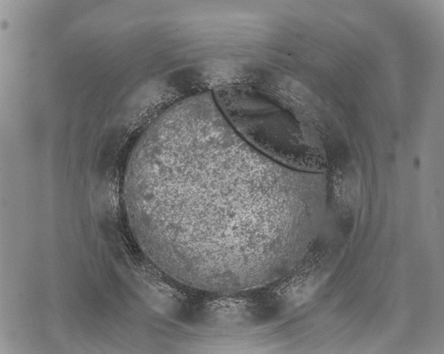 X0000073450691200608111350