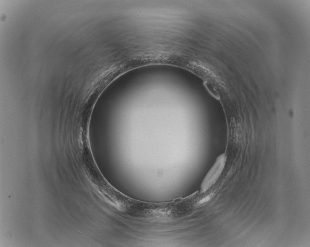 X0000073450692200608111350