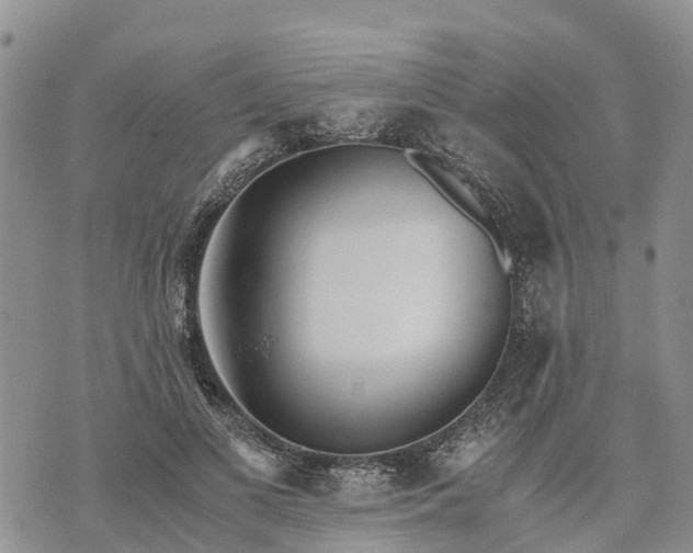 X0000073450693200608111350