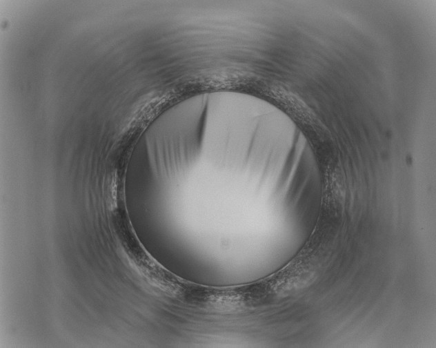 X0000073450694200608111350