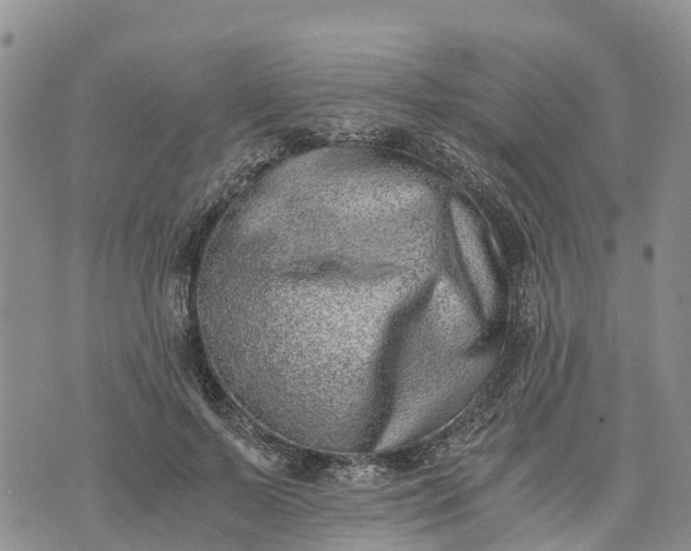 X0000073450695200608111350