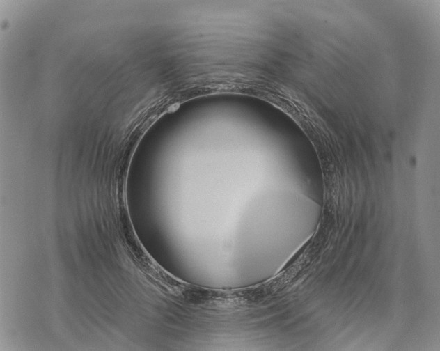 X0000073450696200608111350