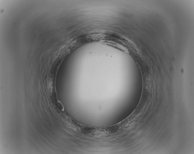 X0000073450697200608111350