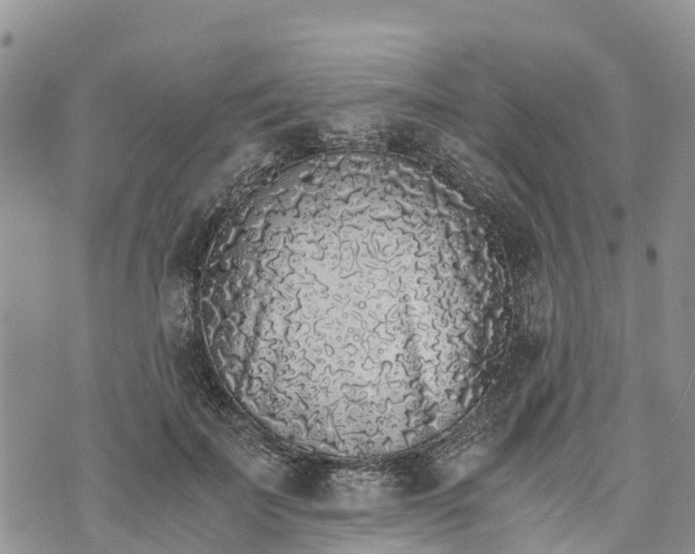 X0000073450699200608111350