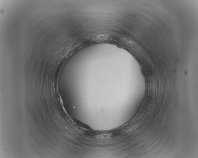 X0000073450700200608111350