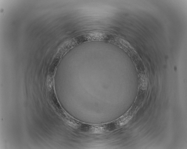 X0000073450701200608111350