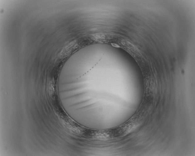 X0000073450702200608111350